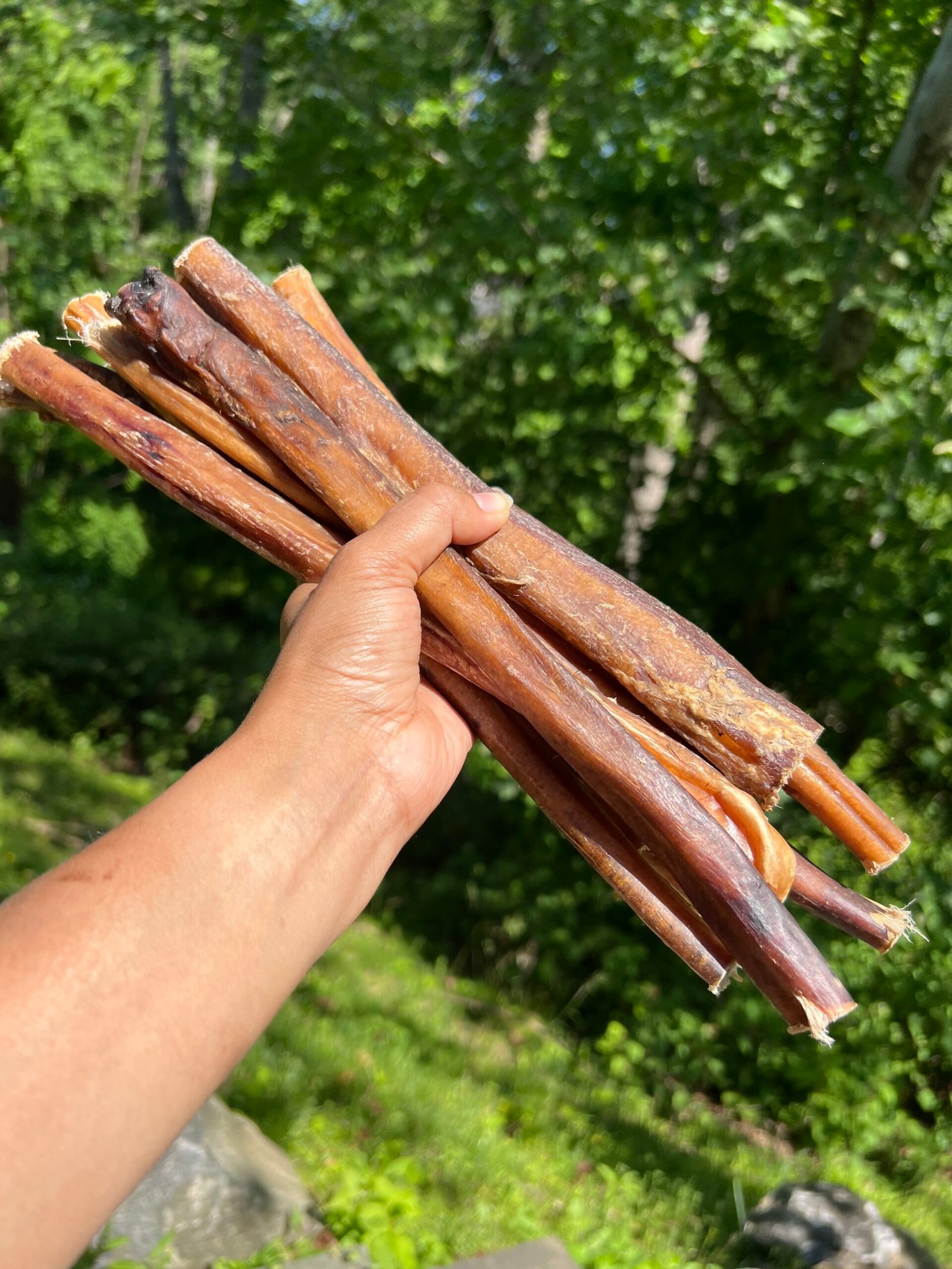 12-Inch Straight Bully Sticks (10 Pack)