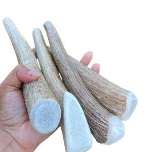 2-Piece Natural Elk & Deer Antler Dog Chews (6"–8")