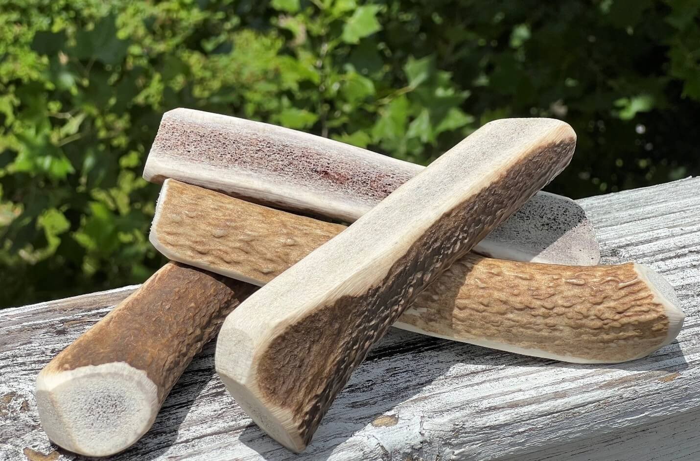 Grade-A Split Premium Elk Antler Dog Chews (Large)