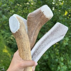 Grade-A XL Split Premium Elk Antler Dog Chews (8 Inches+ | 5 – 6.4 oz)