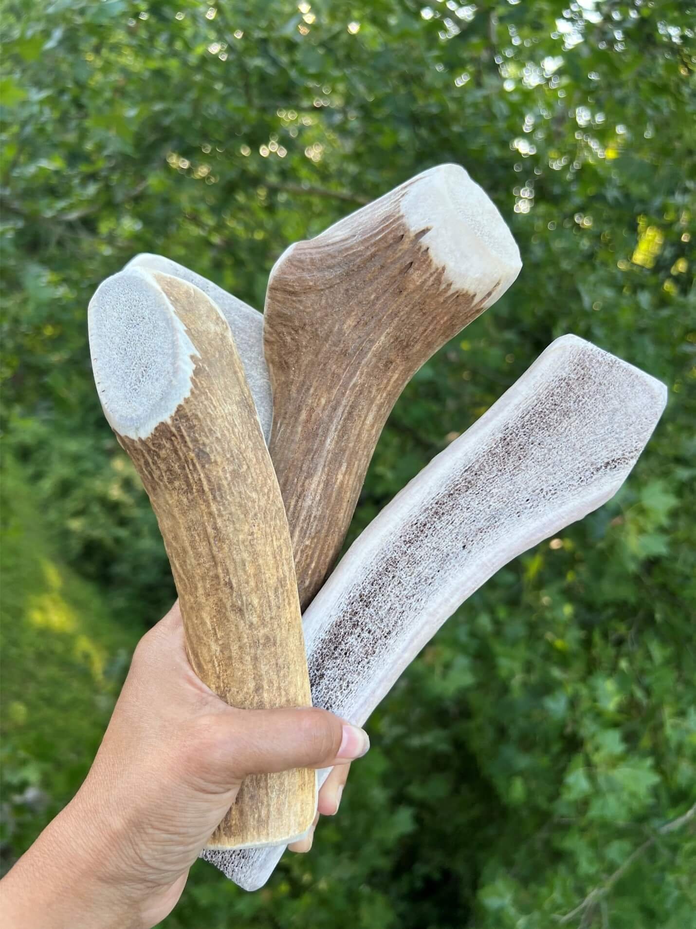 Grade-A XL Split Premium Elk Antler Dog Chews (8 Inches+ | 5 – 6.4 oz)