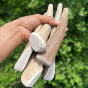 Whole Natural Elk & Deer Antler Dog Chews (Large / XL – 7 – 9 Inches)
